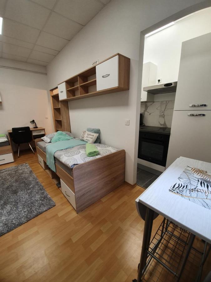 Maribor City Center Minidorm Apartment Экстерьер фото